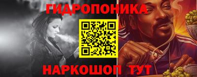 молекула духа Кингисепп