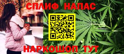 эйфоретик Кимры