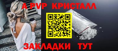 молекула духа Кингисепп