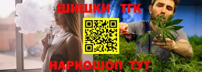 молекула духа Кингисепп