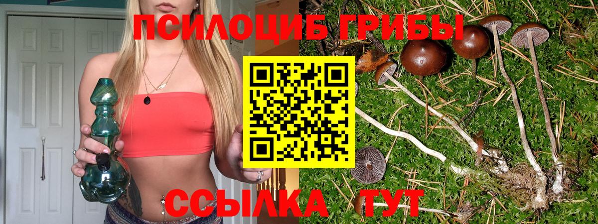 Кохма  Галлюциногенные грибы GOLDEN TEACHER  Вход с VPN  Галлюциногенные грибы Cubensis 
