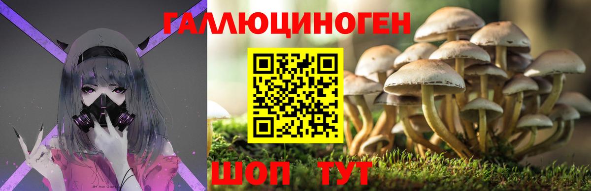 Галлюциногенные грибы прущие грибы Кохма